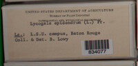 Image Associated With the Occurence